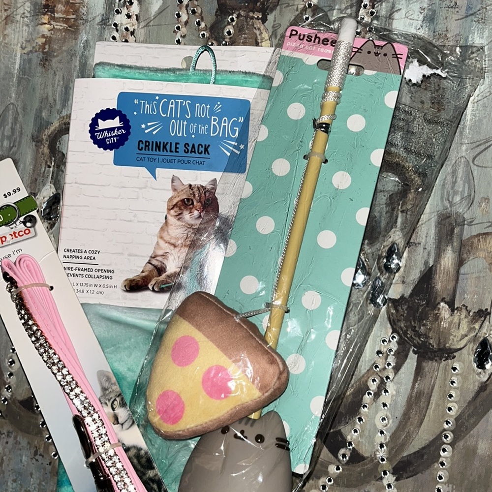 🐈 💎 🐈• PUSHEEN + Kitty Accessories • 💎🐈💎